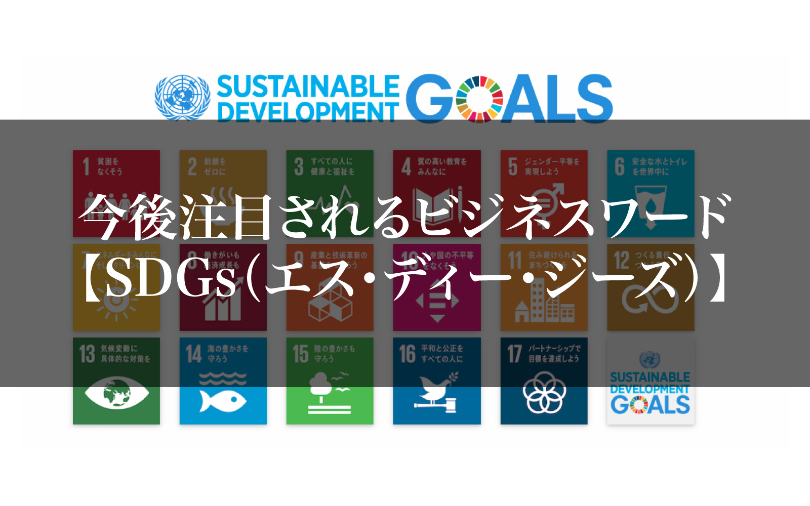 SDGs